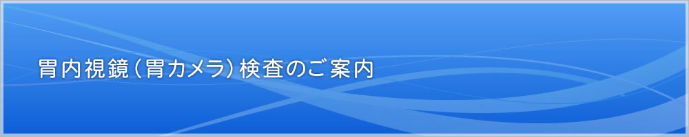 胃内視鏡（胃カメラ）検査のご案内